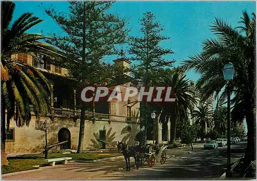 Cartes postales moderne Mallorca Baleares Espana Palma Paseo Sagrera