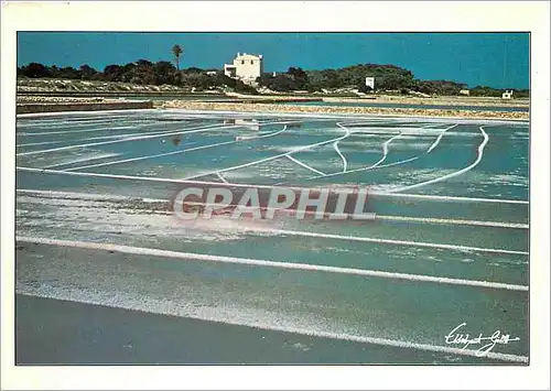 Cartes postales moderne Formentera Baleares Espana It never snows in Formetera