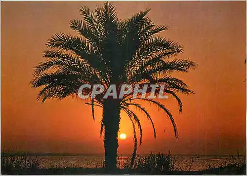 Cartes postales moderne Paisaje y Tipismo Espanol Coucher du soleil