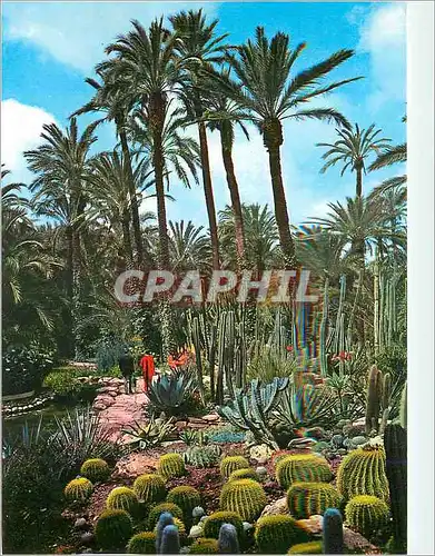 Cartes postales moderne Elche Curates Garden Rocalla