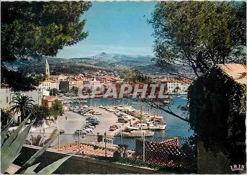 Cartes postales moderne Sanary sur Mer Var Le Port vue de Chemin des Oratoires