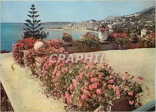 Cartes postales moderne La Cote d'Azur miracle de la nature Menton Alpes Maritimes Terrasse fleurie d'ou l'on decouvre u