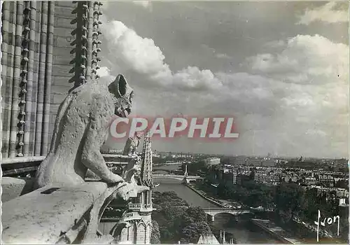 Cartes postales moderne Paris Notre Dame Chimeres et Panorama sur la Seine