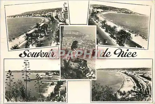 Cartes postales moderne Souvenir de Nice