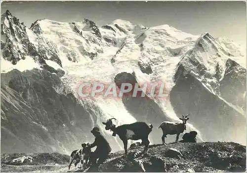 Cartes postales moderne Le Mont Blanc vu de Plan Raz