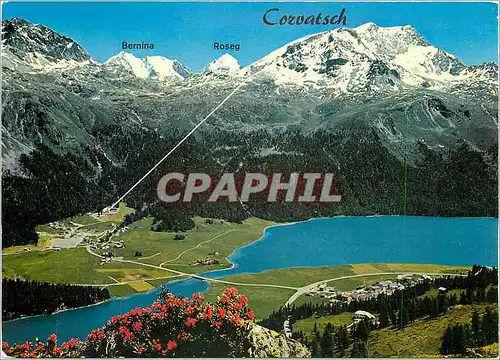 Cartes postales moderne Silvaplana Surlej mit Luftseilbahn Piz Corvatsch und Berninagruppe