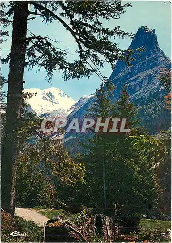 Cartes postales moderne Les Alpes Francaises Echappee sur les hauts sommets