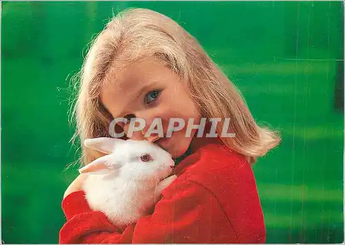 Moderne Karte Enfant Lapin