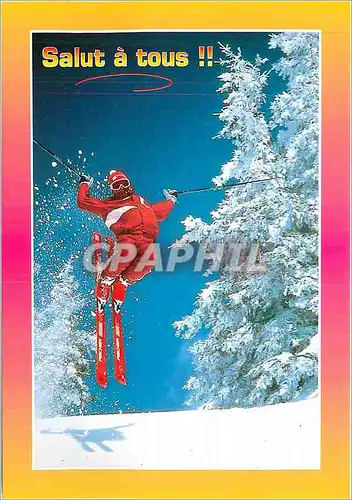 Cartes postales moderne Salut a tous