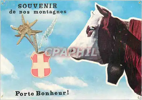 Moderne Karte Souvenir de nos montagnes Porte Bonheur Vache