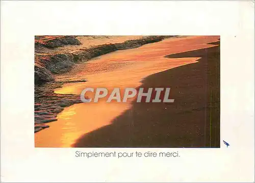 Cartes postales moderne Simplement pour te dire merci