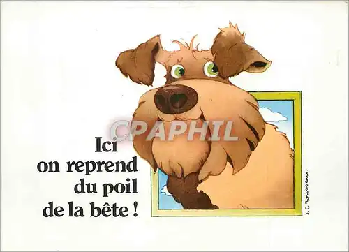 Moderne Karte Ici on reprent du poil de la bete Chien