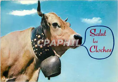 Cartes postales moderne Salut des Cloches Vache