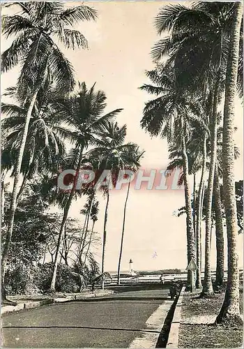 Cartes postales moderne Conakry Guinee La Corniche et le phare de Boulbinet