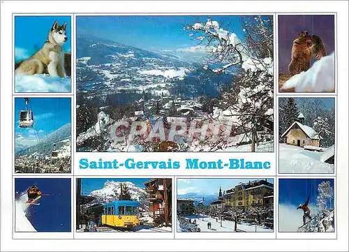 Cartes postales moderne Au Pays du Mont Blanc Saint Gervais Haute Savoie France