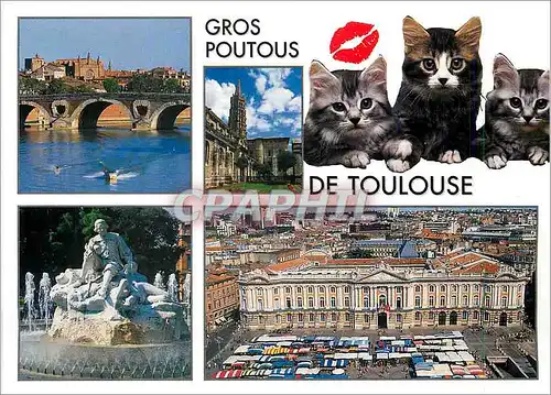 Cartes postales moderne Haute Garonne Toulouse La Place du Capitole la Basilique Saint Sernin le Pont Neuf Notre Dame de