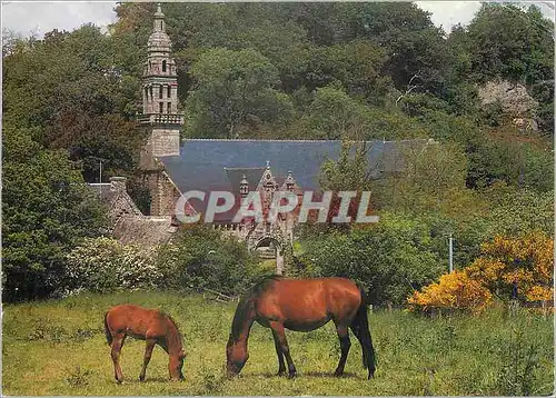 Cartes postales moderne Paturage en Argoat Chateaulin