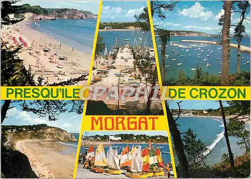 Cartes postales moderne Presqu'ile de Crozon Morgat