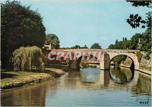 Cartes postales moderne L'Isle Adam Val d'Oise Le Pont du Cabouillet