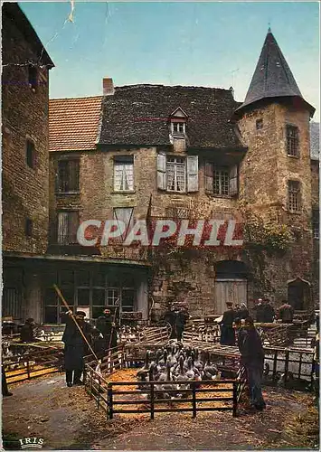 Cartes postales moderne Le Perigord Touristique Le marche aux oies