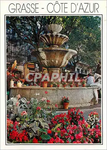 Cartes postales moderne Grasse Cote d'Azur