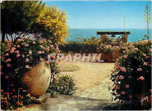 Cartes postales moderne La Cote d'Azur miracle de la nature Jardin fleuri