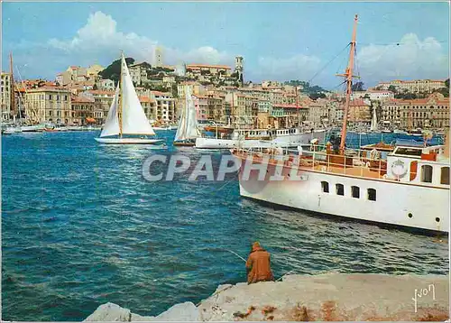 Cartes postales moderne La Cote d'Azur miracle de la nature Cannes Alpes Maritimes Le Port Bateau