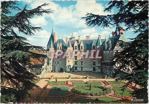 Cartes postales moderne Vallee de la Loire Le Chateau de Langeais Dans le parc
