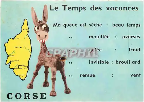 Moderne Karte Corse Le Temps des Vacances Ane Mule