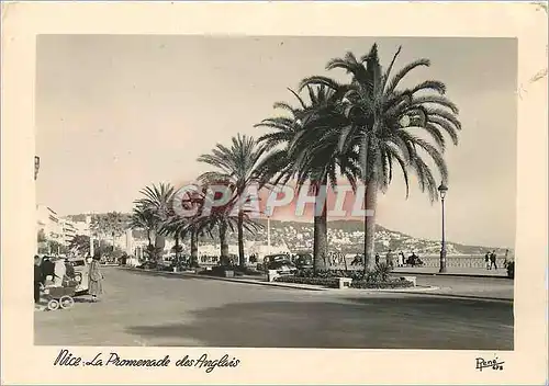 Cartes postales moderne Nice La Promenade des Anglais