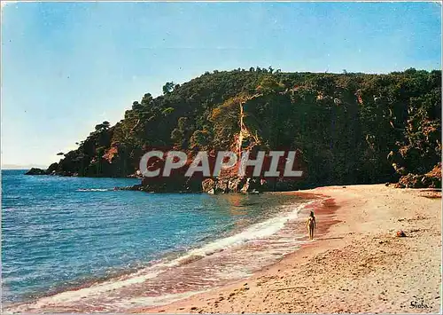 Moderne Karte Cavalaire sur Mer Plage de Bonporteau