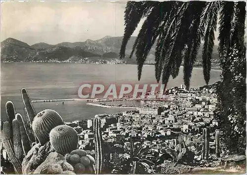 Cartes postales moderne La Cote d'Azur Cannes Vue generale