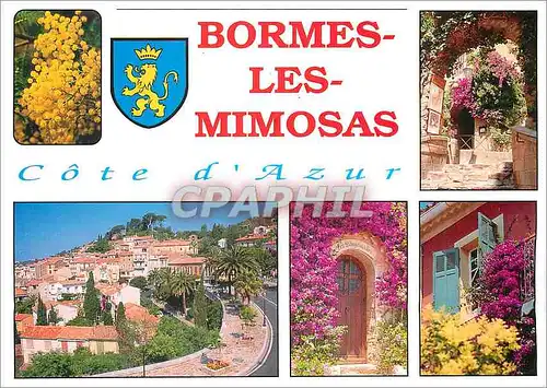 Moderne Karte Bormes Les Mimosas Cote d'Azur