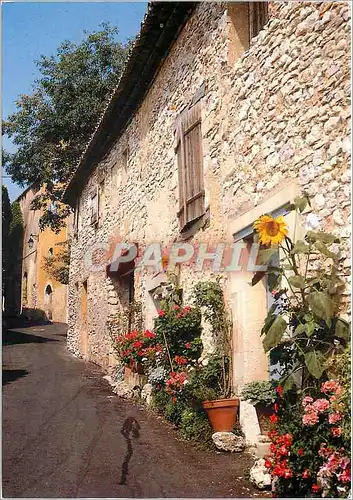 Cartes postales moderne Les Belles Images de Provence Rue typique