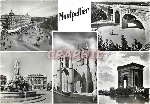 Cartes postales moderne Montpellier Herault Cathedrale Saint Pierre