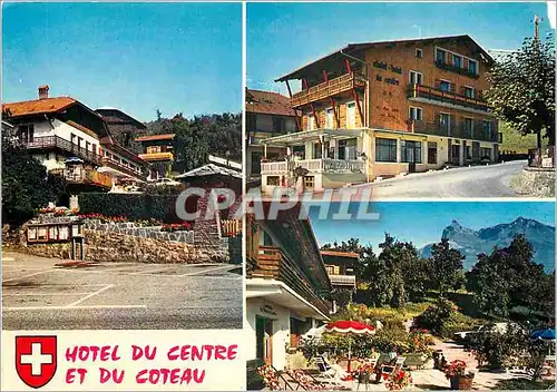 Cartes postales moderne Hotel du Centre et du Coteau Passy