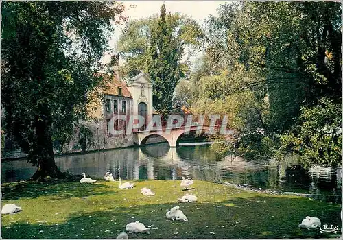 Cartes postales moderne Bruges Eingang des Beguinenklosters