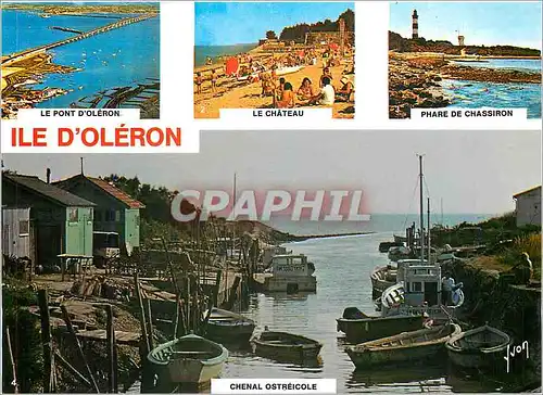 Cartes postales moderne Ile d'Oleron