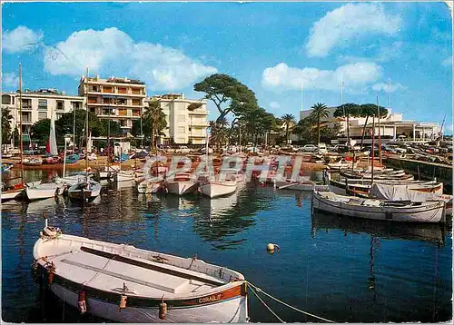 Cartes postales moderne Cannes Le Casino du Palm Beach et un coin