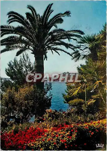 Moderne Karte Reflets de la Cote d'Azur Paysage Mediterraneen