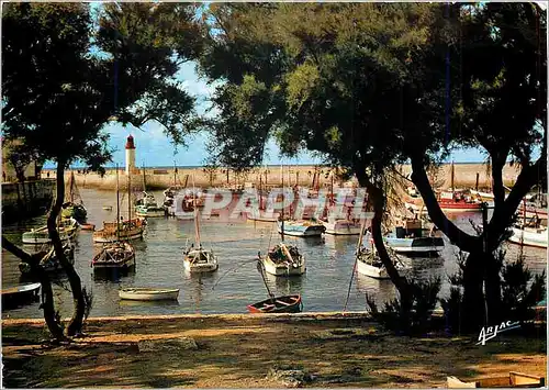 Cartes postales moderne Sur La Cote de Lumiere Ile d'Oleron la Cotiniere Port de Peche