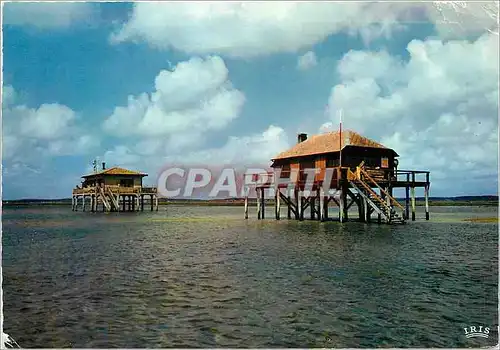 Cartes postales moderne Bassin d'Arcachon L'Ile aux Oiseaux Maisons sur pilotis