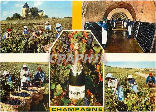 Cartes postales moderne Champagne