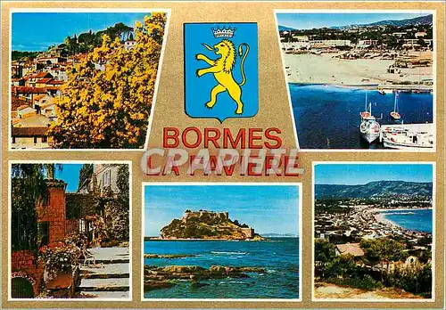 Cartes postales moderne Cote Varoise Souvenir de Bormes La Faviere