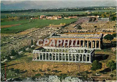 Cartes postales moderne Paestum Vue et Temples