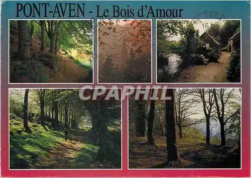 Cartes postales moderne Pont Aven Le Bois d'Amour