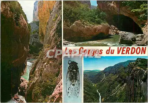 Cartes postales moderne Les Gorges du Verdon