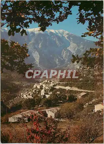 Cartes postales moderne Les Belles Images de Provence Le Charmant village de Brantes au pied du Mont Ventoux