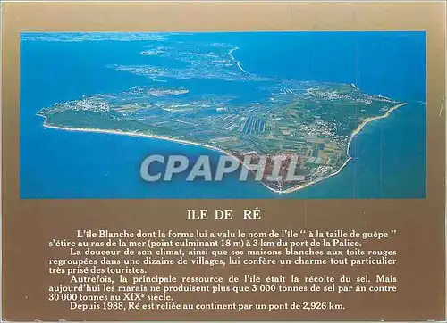 Cartes postales moderne Ile De Re