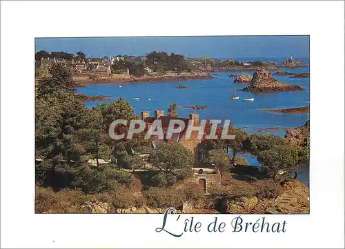 Cartes postales moderne L'Ile de Brehat